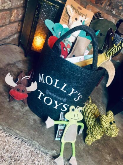 Felt Toy Trug